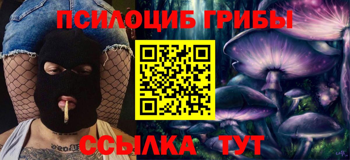 Псилоцибиновые грибы Psilocybe  Вход с VPN  продажа наркотиков  Заводоуковск 