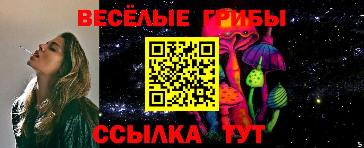 Псилоцибиновые грибы мухоморы Заводоуковск